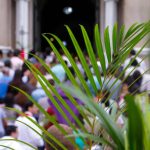 Holy Week. Traditional Catholic celebrate Palm Sunday. Christian faith.